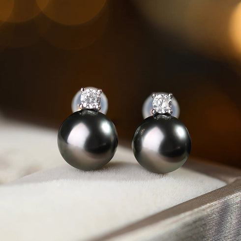 Tahitian Pearl Sasha Zirconia Earrings in Sterling Silver